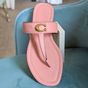 Coach Pebble Leather Jessie Thong Sandal